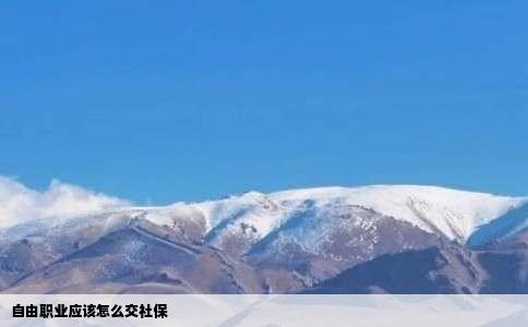 自由职业应该怎么交社保