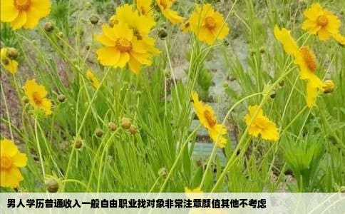 男人学历普通收入一般自由职业找对象非常注意颜值其他不考虑