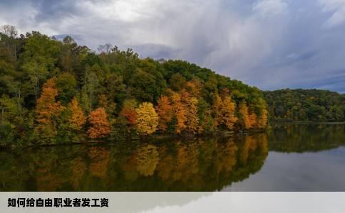 如何给自由职业者发工资