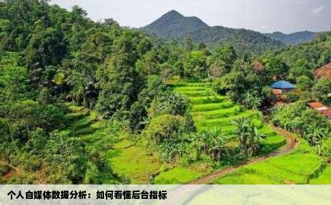 个人自媒体数据分析：如何看懂后台指标