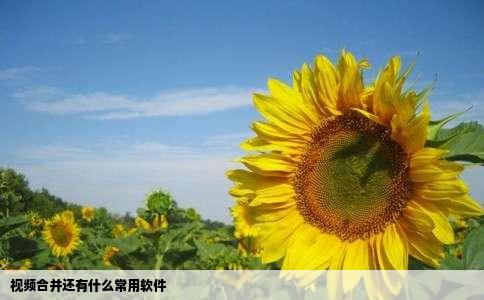 视频合并还有什么常用软件