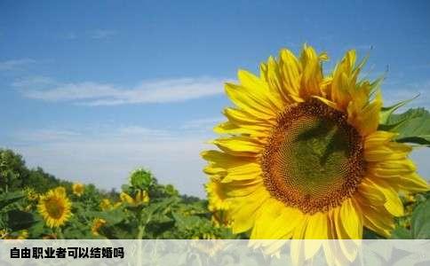 自由职业者可以结婚吗