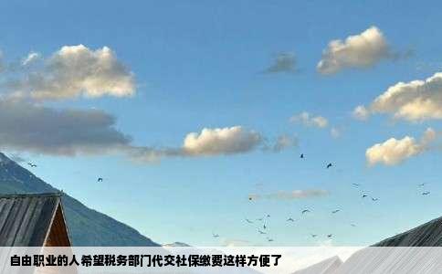 自由职业的人希望税务部门代交社保缴费这样方便了
