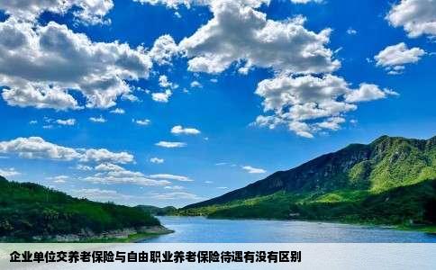 企业单位交养老保险与自由职业养老保险待遇有没有区别