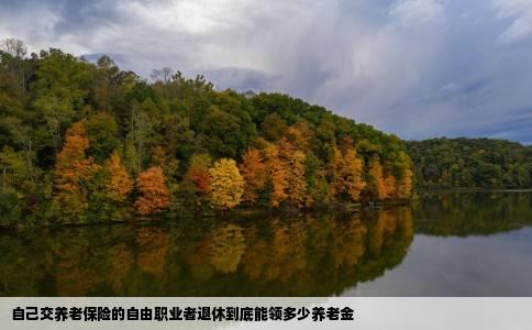 自己交养老保险的自由职业者退休到底能领多少养老金