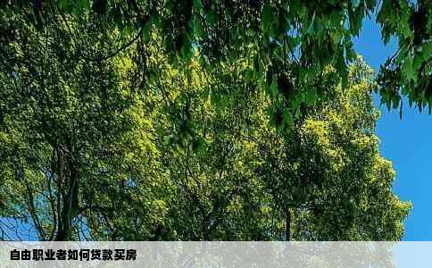 自由职业者如何贷款买房