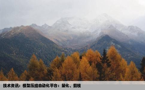 技术资讯：模型压缩自动化平台：量化、剪枝