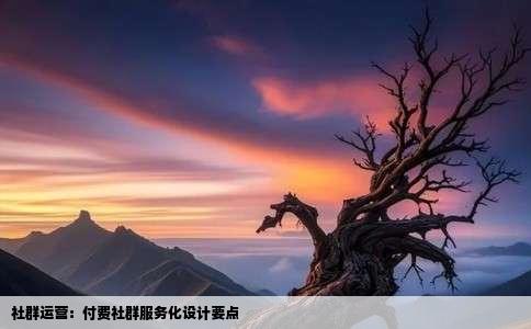 社群运营：付费社群服务化设计要点