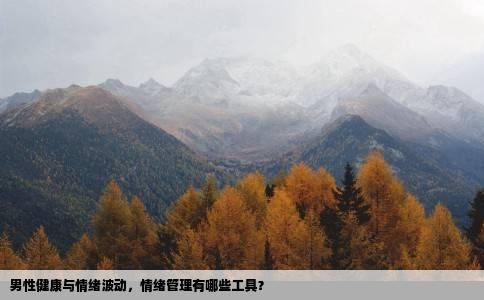 男性健康与情绪波动，情绪管理有哪些工具？