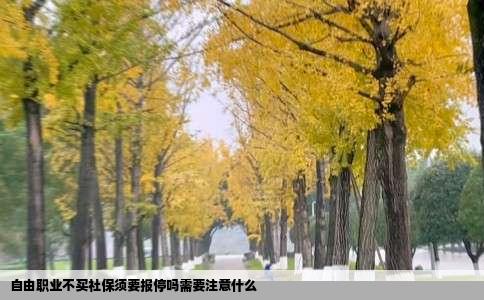 自由职业不买社保须要报停吗需要注意什么