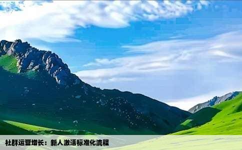 社群运营增长：新人激活标准化流程