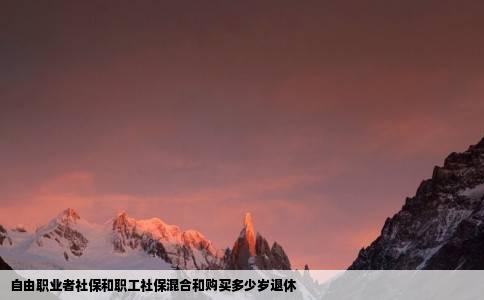 自由职业者社保和职工社保混合和购买多少岁退休