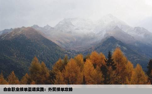 自由职业接单渠道实践：外贸接单攻略