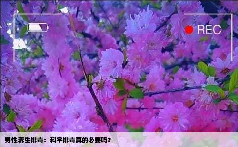 男性养生排毒：科学排毒真的必要吗？