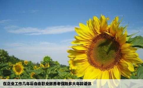 在企业工作几年后自由职业缴养老保险多大年龄退休