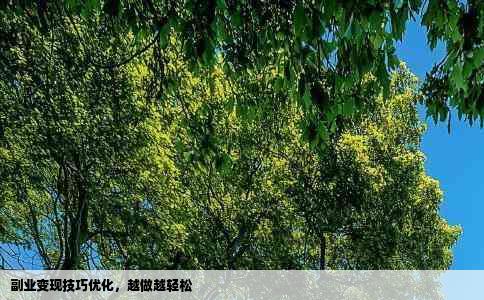 副业变现技巧优化，越做越轻松