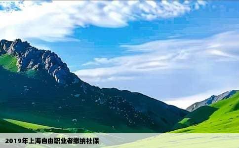 2019年上海自由职业者缴纳社保
