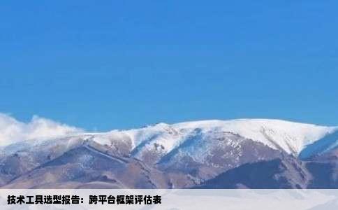 技术工具选型报告：跨平台框架评估表