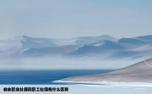 自由职业社保和职工社保有什么区别