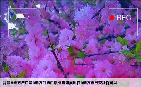 我是A地方户口是B地方的自由职业者如果想在B地方自己交社保可以