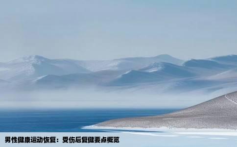 男性健康运动恢复：受伤后复健要点概览