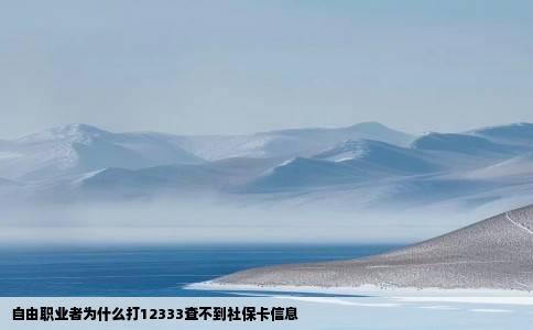 自由职业者为什么打12333查不到社保卡信息