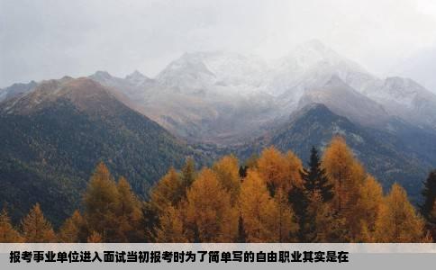 报考事业单位进入面试当初报考时为了简单写的自由职业其实是在