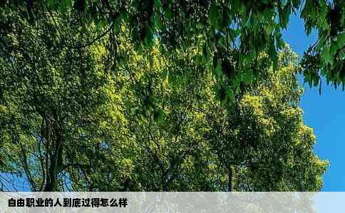 自由职业的人到底过得怎么样