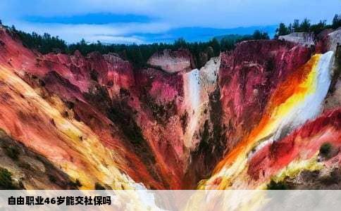 自由职业46岁能交社保吗