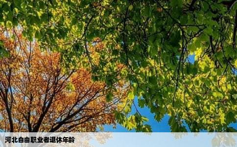 河北自由职业者退休年龄