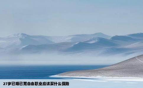 27岁已婚已育自由职业应该买什么保险