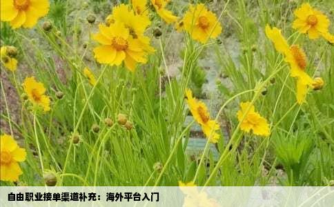 自由职业接单渠道补充：海外平台入门