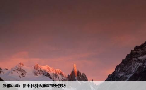 社群运营：新手社群活跃度提升技巧
