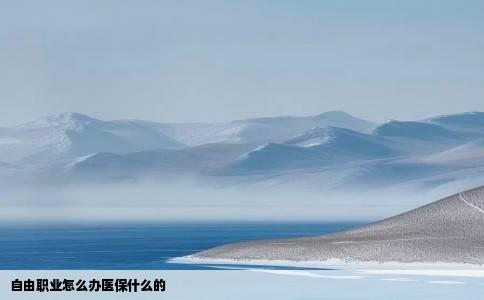 自由职业怎么办医保什么的