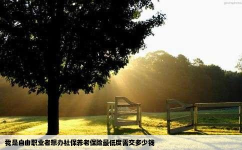 我是自由职业者想办社保养老保险最低度需交多少钱