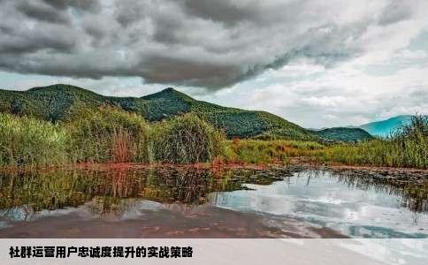 社群运营用户忠诚度提升的实战策略