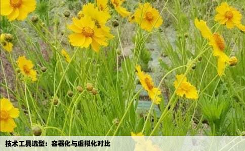 技术工具选型：容器化与虚拟化对比