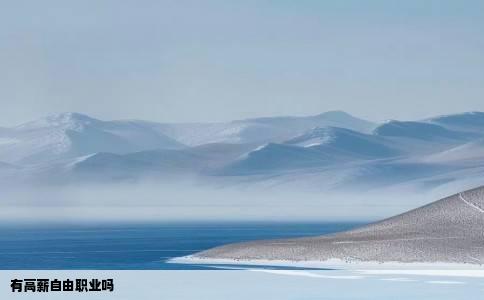 有高薪自由职业吗
