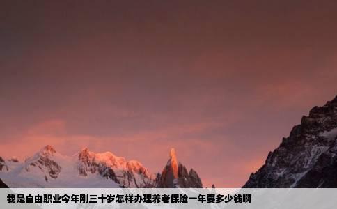 我是自由职业今年刚三十岁怎样办理养老保险一年要多少钱啊