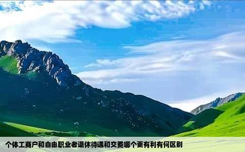 个体工商户和自由职业者退休待遇和交费哪个更有利有何区别