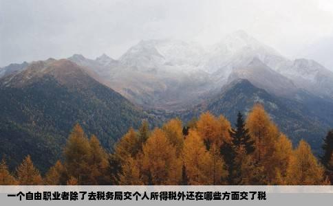 一个自由职业者除了去税务局交个人所得税外还在哪些方面交了税