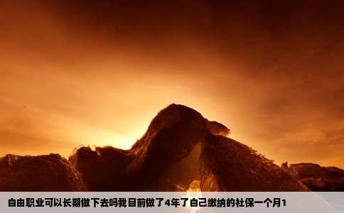 自由职业可以长期做下去吗我目前做了4年了自己缴纳的社保一个月1