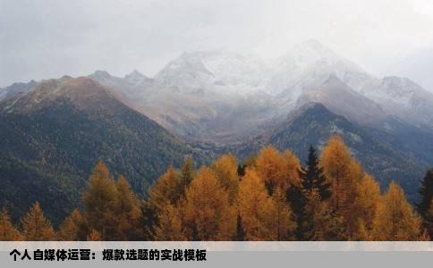 个人自媒体运营：爆款选题的实战模板