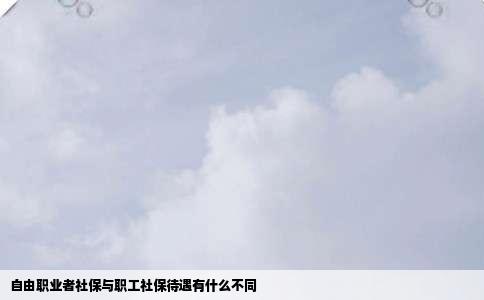 自由职业者社保与职工社保待遇有什么不同