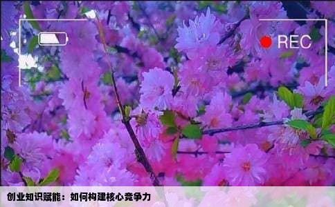 创业知识赋能：如何构建核心竞争力
