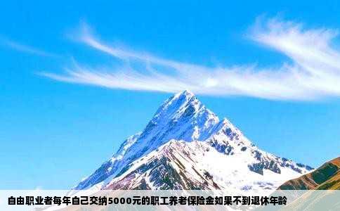 自由职业者每年自己交纳5000元的职工养老保险金如果不到退休年龄