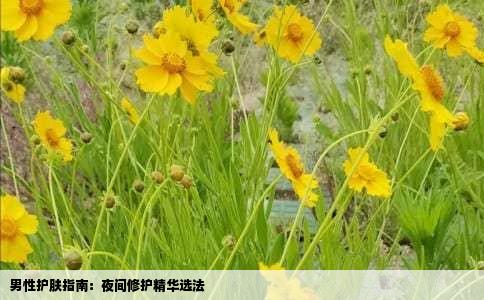男性护肤指南：夜间修护精华选法