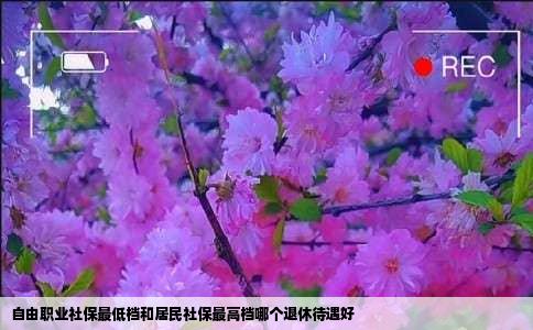 自由职业社保最低档和居民社保最高档哪个退休待遇好