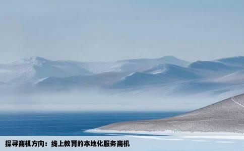 探寻商机方向：线上教育的本地化服务商机