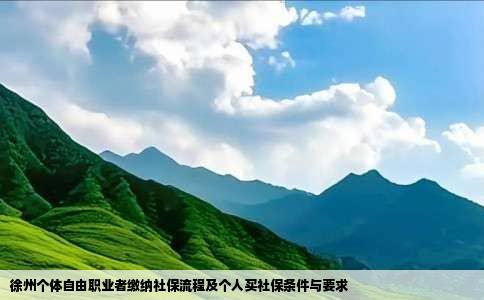 徐州个体自由职业者缴纳社保流程及个人买社保条件与要求